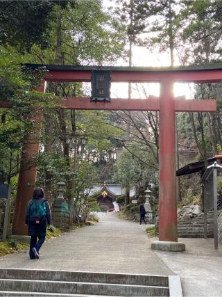 諏訪神社(金刀比羅神社境内)の参拝記録(房の国からさん)