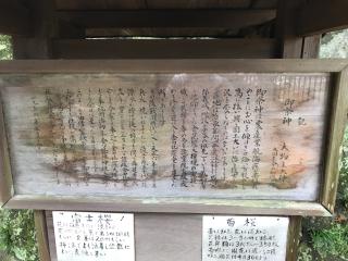 金比羅神社の参拝記録(cobaさん)