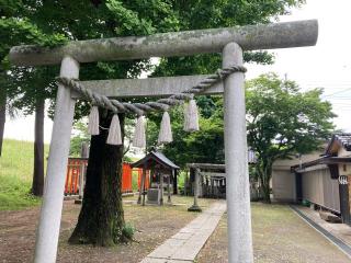 荒川神社の参拝記録(レモンサワーさん)