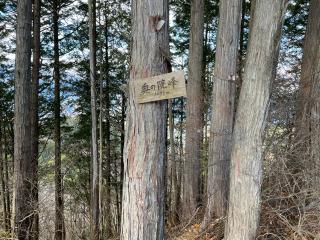 武蔵御嶽神社奥の院の参拝記録(haruさん)