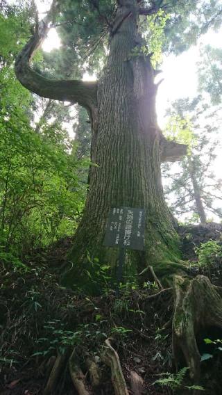 武蔵御嶽神社奥の院の参拝記録(🐺⛩️🐺さん)