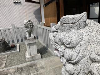 土佐恵比寿神社(薬祖大神)の参拝記録(すったもんださん)