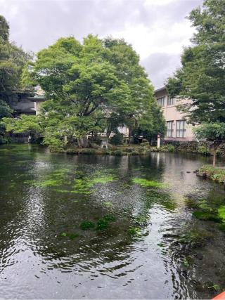 厳島神社（富士山本宮浅間大社末社）の参拝記録(⛩️🐍🐢まめ🐢🐍⛩️さん)