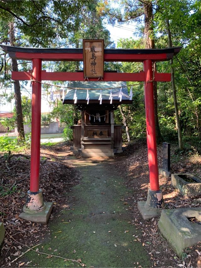 厳島神社（宮内氷川神社境内）の参拝記録(ぶーさん)