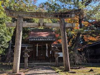 飛梅天満宮の参拝記録(恭子さん)