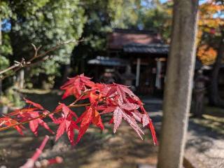 飛梅天満宮の参拝記録(恭子さん)