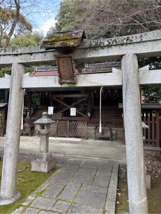 愛宕秋葉神社の参拝記録(⛩️🎠🐢まめ🐢🎠⛩️さん)