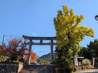 山口稲荷神社の参拝記録(恭子さん)