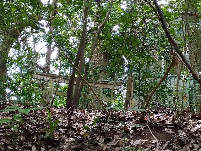 御炊社 (大神神社末社)の参拝記録3