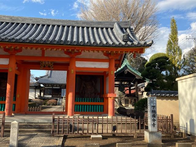 千葉県市川市国分3-20-1 下総国分寺の写真3