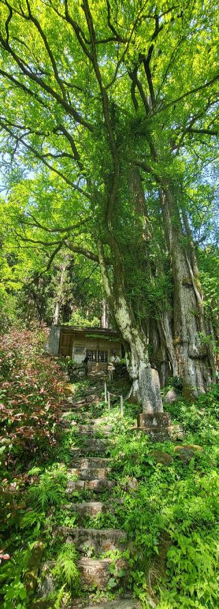 軍刀利神社奥院の参拝記録(隼RIDEさん)