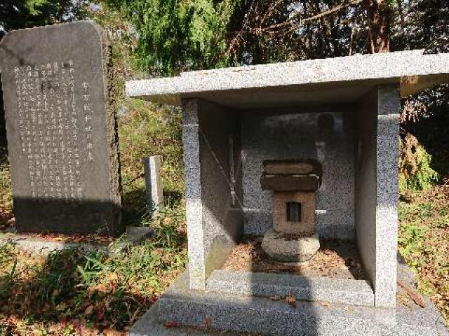 山梨県上野原市棡原 軍刀利山山頂 光明の地 軍刀利神社元社(山宮)の写真2