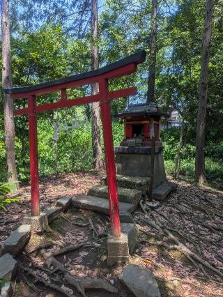 厳島神社（仙波東照宮摂社）の参拝記録(はくすみさん)