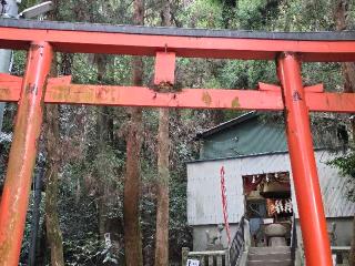 氷室稲荷神社　(氷室神社 末社)の参拝記録(すみれさん)
