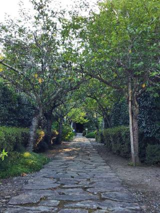 延命山 菊水寺の参拝記録(たけちゃん⚾さん)
