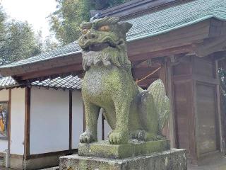 伊倉南八幡宮の参拝記録(飛成さん)