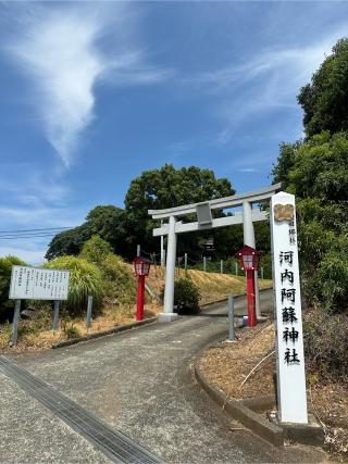 河内阿蘇神社の参拝記録(おかちゃんさん)