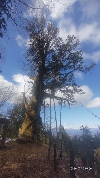 木幡山隠津島神社の参拝記録(あにぃさん)