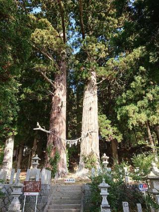 夏井諏訪神社の参拝記録(おととさん)