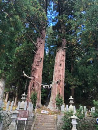 夏井諏訪神社の参拝記録(みつをさん)