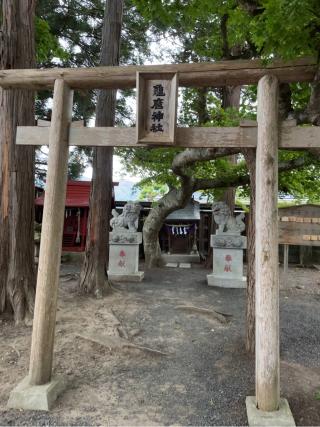 亀磨神社の参拝記録(春人さん)