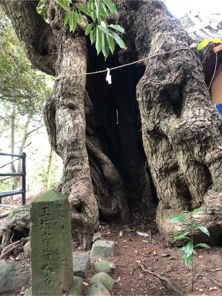 海童神社の参拝記録(ようさん)