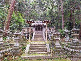 國見神社の参拝記録(鹿の角さん)