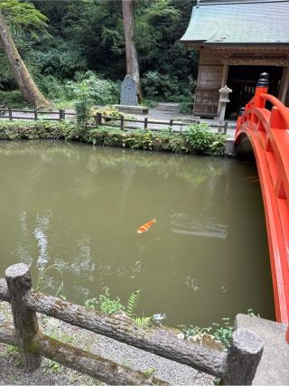 宗像社(小國神社摂末社)の参拝記録(⛩️🎠🐢まめ🐢🎠⛩️さん)