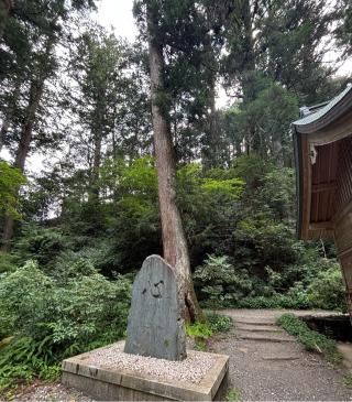 宗像社(小國神社摂末社)の参拝記録(マ🌸ノさん)