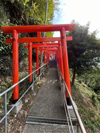 荒熊神社の参拝記録(あまぞんさん)