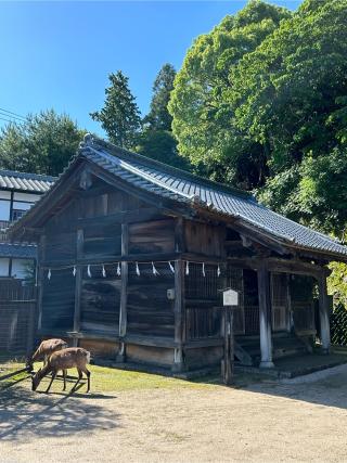 長浜神社（厳島神社摂社）の参拝記録(ふうりんパパさん)