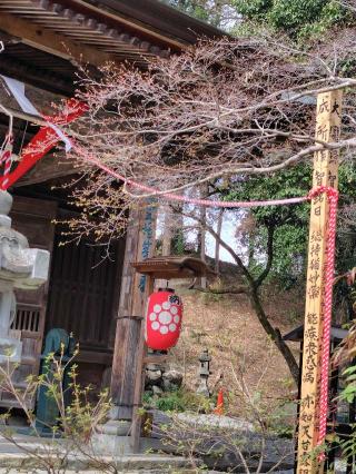 法王山 岩之上堂の参拝記録(がっちゃん3さん)