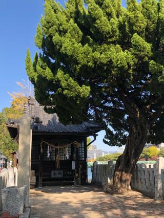 本川浜恵美須神社の参拝記録(あくんさん)