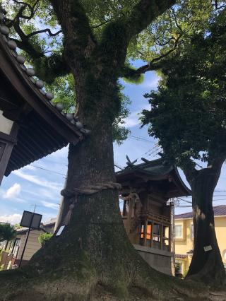 吉島稲生神社の参拝記録(やんまさん)