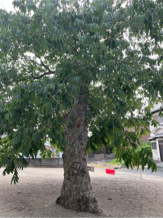 人麿神社の参拝記録(まきちゃんさん)
