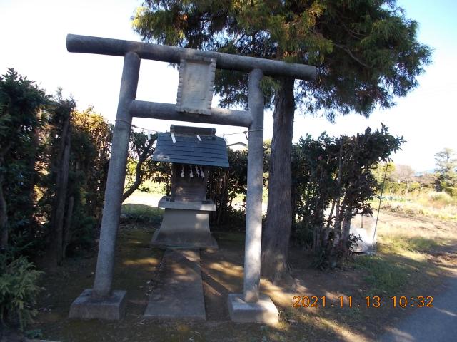 埼玉県羽生市上手子林 八幡神社（羽生市上手子林）の写真2