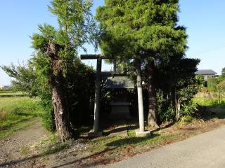 八幡神社（羽生市上手子林）の参拝記録(かんたろうさん)