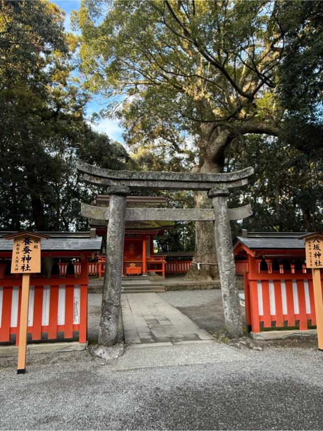 八坂神社・養蚕神社（宇佐神宮末社）の参拝記録5