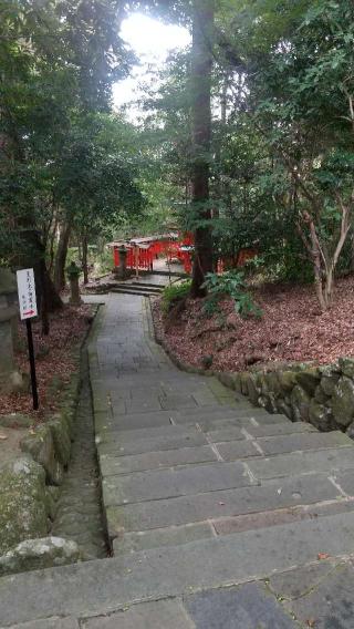 亀山神社（宇佐神宮）の参拝記録( いなりんさん)