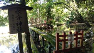 水分神社（宇佐神宮末社）の参拝記録(miyumikoさん)