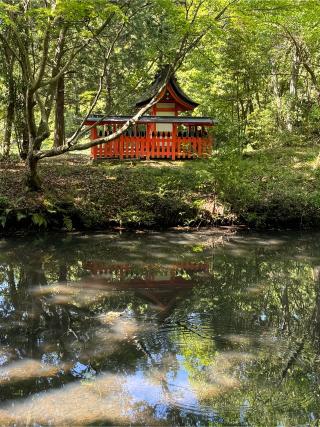 水分神社（宇佐神宮末社）の参拝記録(こーちんさん)