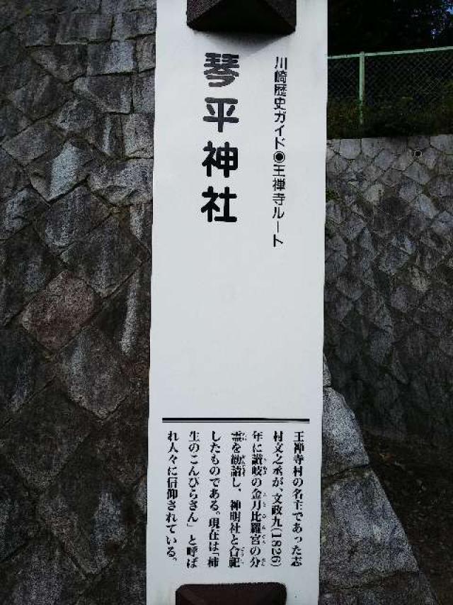 神奈川県川崎市麻生区王禅寺318 武州柿生琴平神社本殿の写真9