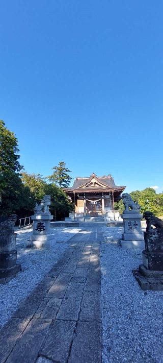 武州柿生琴平神社本殿の参拝記録(まーぼーさん)