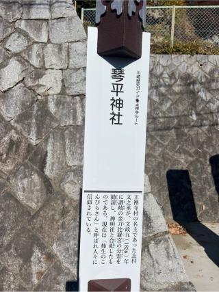 武州柿生琴平神社の参拝記録(⛩️🐍🐢まめ🐢🐍⛩️さん)