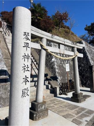 武州柿生琴平神社の参拝記録(⛩️🐍🐢まめ🐢🐍⛩️さん)