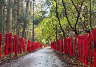 紅葉稲荷社の参拝記録(竜胆の花さん)