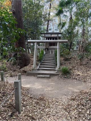 弁天社（春日部市粕壁）の参拝記録(⛩️🎠🐢まめ🐢🎠⛩️さん)