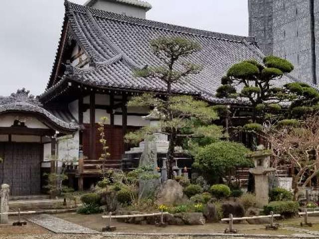 兵庫県姫路市坂田町５１ 善導寺の写真3