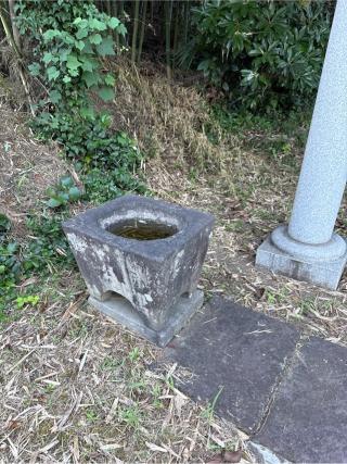 諏訪神社の参拝記録(⛩️🐍🐢まめ🐢🐍⛩️さん)