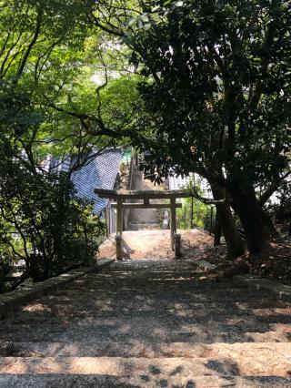 今伊勢神社（嚴島神社末社）の参拝記録(あくんさん)